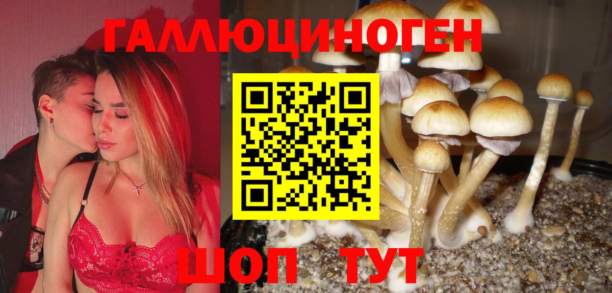 Псилоцибиновые грибы GOLDEN TEACHER  где купить наркоту  Заволжье  Вход с VPN 