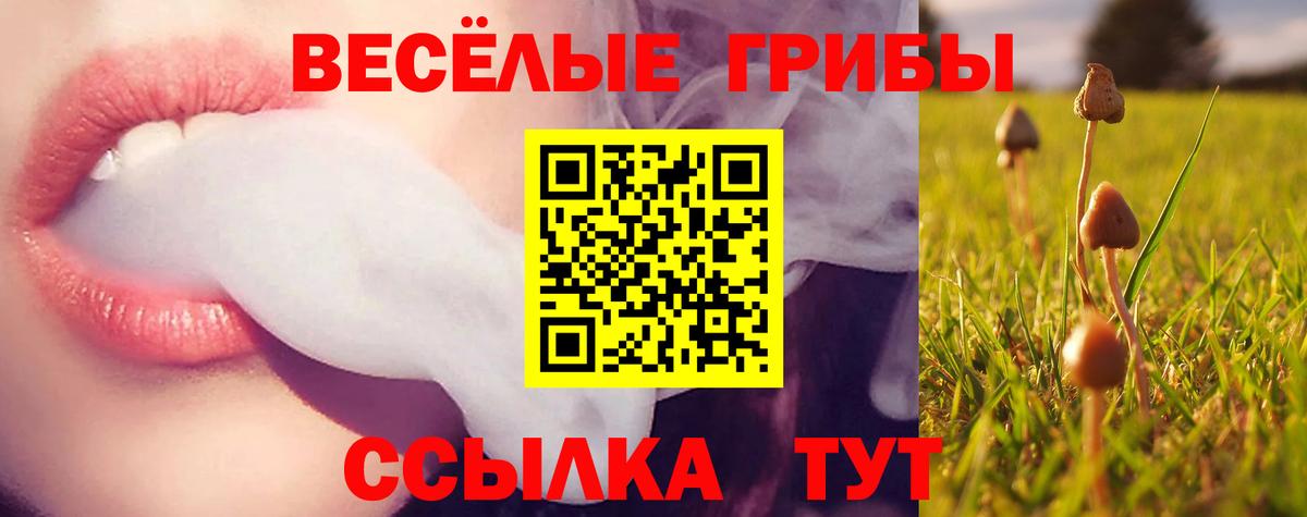 Псилоцибиновые грибы Psilocybe Заволжье